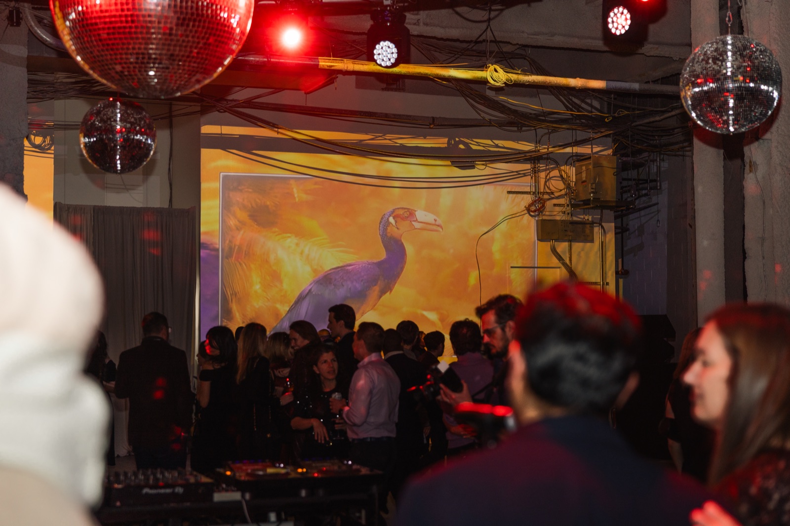 ETHEREA live show in Brooklyn: a dark room filled with projected generative visuals and people gathered around the stage.